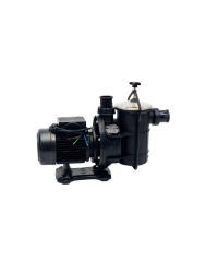 Pool Pump And Motor 1.1KW Eartheco Eq eque
