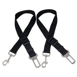 seatbelt leash