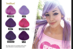 Plum La Riche Directions Semi-permanent Hair Colour - 88ml