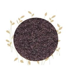 Dried Black Cumin Seed Powder Nigella Sativa