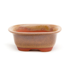 Willow Potteries Mame Bonsai Pots - Rounded Rectangular Mustard 8.5 X 7.5 X 3.5cm