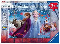 Frozen Journey 2X21 Piece Puzzle