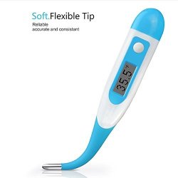 digital clinical thermometer