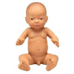 anatomically correct baby boy dolls