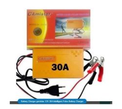 Battery Charger 12V 30A Intelligent Pulse Battery Charger