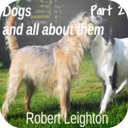 Dogs - All About Them Part 2