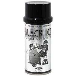 Black Ice The Original Touch Up Spray 4 Oz