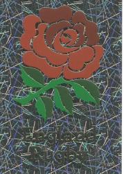 Rugby World Cup 2015 - Topps - English Rose "logo" Trading Card 239