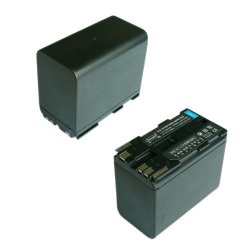 Canon BP-970 Replacement Battery