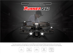 Walkera Runner 250 Fpv Version Rtf Rc Quadcopter With Osd devo 7 Transmitter 800tvl Hd Camera