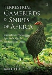 Terrestrial Gamebirds & Snipes Of Africa