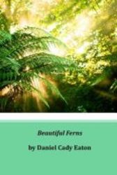 Beautiful Ferns