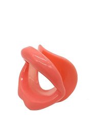 Speak Out Game & Watch Ya Mouth Game Mouthpieces Adult Dental Lip Cheek Retractor Mouth Lip Opener Mouth Piece For Fun Game Lipless Game Girl Orange