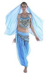 ROYAL SMEELA Belly Dance Costume for Women Chiffon Belly Dancing