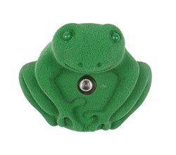 Large Tree Frog Climbing Holds Green