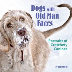 Dogs With Old Man Faces