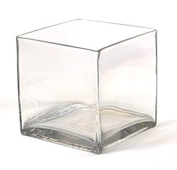 Vasefill Clear Square Glass Vase Cube 6 Inch 6 X 6 X 6 Vases