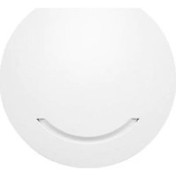 Duxbury 240AP Ceiling Mount AC1200 Access Point