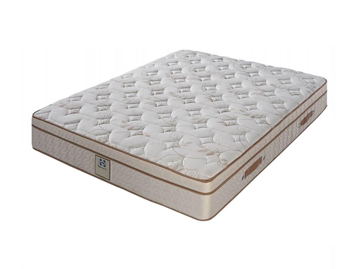 sealy double mattress price