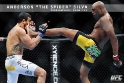 Pyramid Ufc-anderson Silva Standard Sports Poster Print 24 By 36