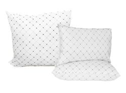 Super Soft 2PC Silk Mat Standard Pillows And Continental Pillow Combo Pack