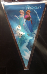 Frozen Party Triangle flag Banner