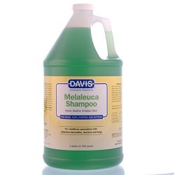 davis melaleuca shampoo