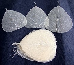 100 Pcs. Skeleton Natural Ficus Religiosa Leaves Artificial Leaves Craft Card Scrapbook Diy Handmade Embellishment Decoration Art