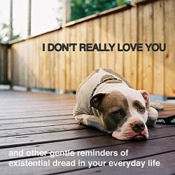 I Don't Really Love You: And Other Gentle Reminders Of Existential Dread In Your Everyday Life