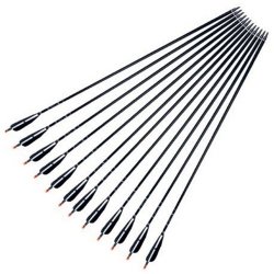 BLACK Aluminium 30" Sharp Arrow For Youth Compound Bows