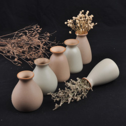 Zakkz Ceramic Vase Aroma Bottle Flower Arrangement Pottery Creative Handicraft Furnishing Decor Gift