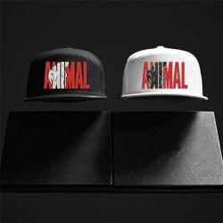 Animal Cap - Free Shipping - Uflex Snapback Grey