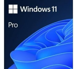 Windows 11 Professional 1 License S 64 Gb 4096 Gb 1000 Ghz English DVD