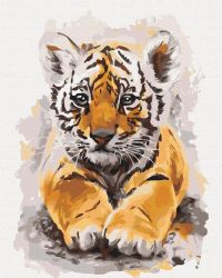 Paint By Numbers Cutetiger Boxed