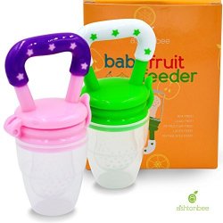 Ashtonbee baby fruit feeder sales pacifier