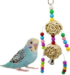 lovebird toys