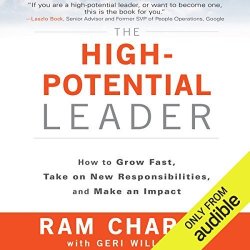 The High-potential Leader: How To Grow Fast Take On New Responsibilities And Make An Impact