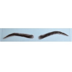 SWISS Airao Lace Base Human Hair Eyebrows 1 Pair Style 2 2 Darkest Brown