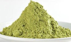Matcha Green Tea Powder 1 Kg