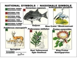 Poster: National Symbols Nasionale Simbole