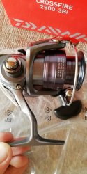 daiwa crossfire 2500 3bi spinning reel