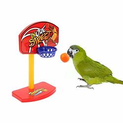 Succeedtop Pet Parrot Toys Birdie Basketball Hoop Balls Birds Parakeet Bell Prop Chew Set Bird Toys Delight African Grey Parrot Cages Bird Toy Bird