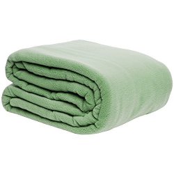 Ph Single Piece Sage Blanket Warmth Fleece Blanket 108 Inches Wide X 90 Inches Long Solid Color Pattern Casual Style Polyester & Fleece Machine Washable Green