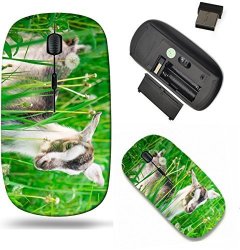 Liili Wireless Mouse Travel 2.4G Wireless Mice With USB Receiver Click With 1000 Dpi For Notebook PC Laptop Computer Mac Book Small Goat Grazing