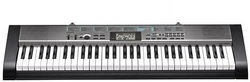 Standard Keyboard Ctk-1300k2