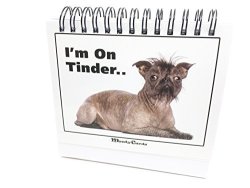 Funny Office Gifts - Doggy Moodycards Great Cubicle Accessories - Make Everyone Laugh With These Lovable Pets -hilarious Dog Pictures Tells Everyone How You