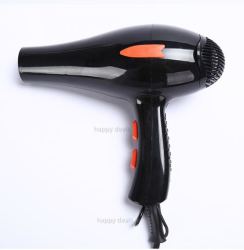 Whole RCT-3900 Professional Hair Dryer Black 2000W