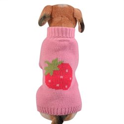 Dog Apparel Axchongery Cute Pet Strawberry Sweater Winter Puppy Turtleneck Coat Small Dog Clothes Pink S