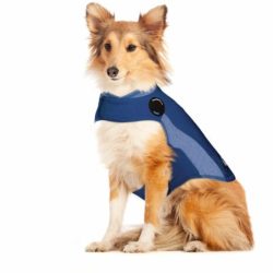 Polo Thundershirt Dog Anxiety Shirt Blue Small Waggs Pet Shop