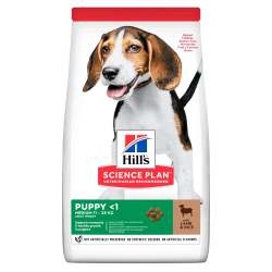 Hill's Science Plan Puppy Medium Lamb Flavour - 12KG